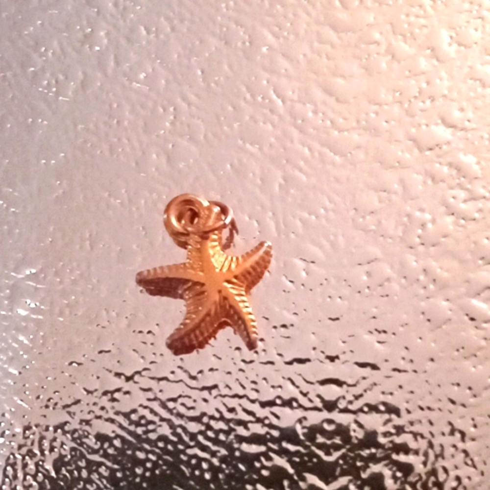 Gold starfish charm